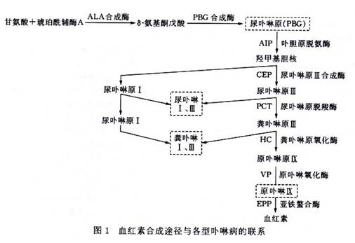 皮肤卟啉病