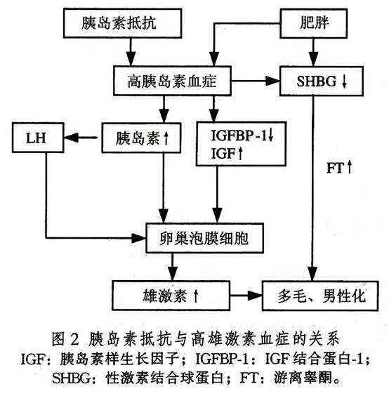 多囊卵巢综合症