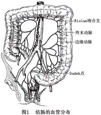 结肠的血管解剖和生理  结直肠血供主要来源于肠系膜上,下动脉和髂内