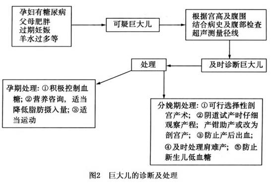 巨大胎儿