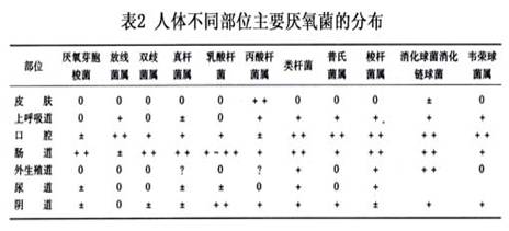 厌氧菌感染