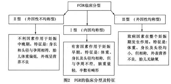 胎儿营养不良综合征