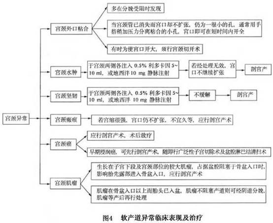 及疾病引起的改變外,尚有孕足月宮頸不成熟時,臨產後同樣致產程延長