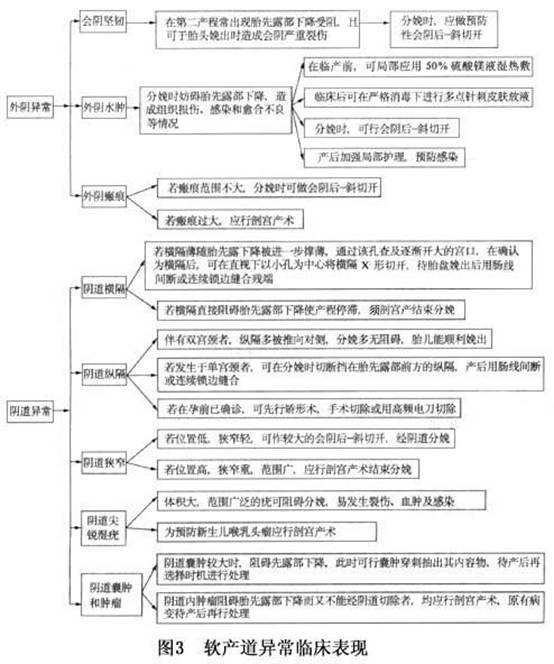 异位妊娠思维导图模板图片