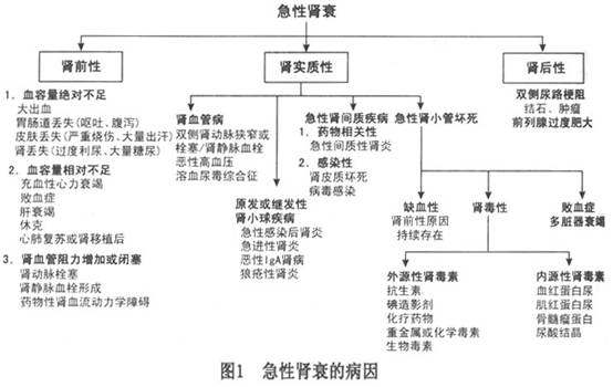 肾功能衰竭图片